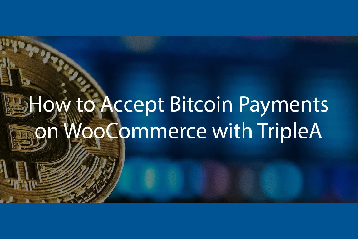 accepting bitcoin payments online